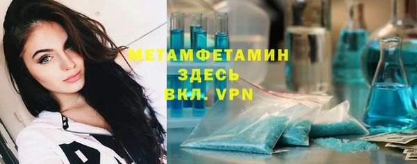 сатива Зерноград