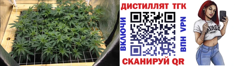 Купить закладки  Кизляр  Дистиллят ТГК концентрат 