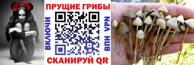 Галлюциногенные грибы мухоморы  Купить где  Кизляр 